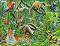 Животните в тропическата гора - Пъзел в картонена подложка - 