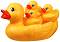 ��������� ������ Playgro - ������� �� ���� �� ������� "Bath" - �������