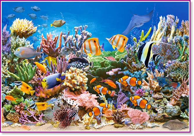 Цветовете на океана - Пъзел от 260 части от колекцията "Premium" - пъзел