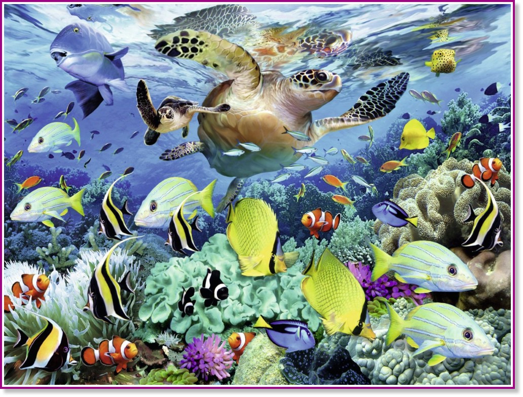 �������� ���� - ����� �� 150 ������ ����� - �����