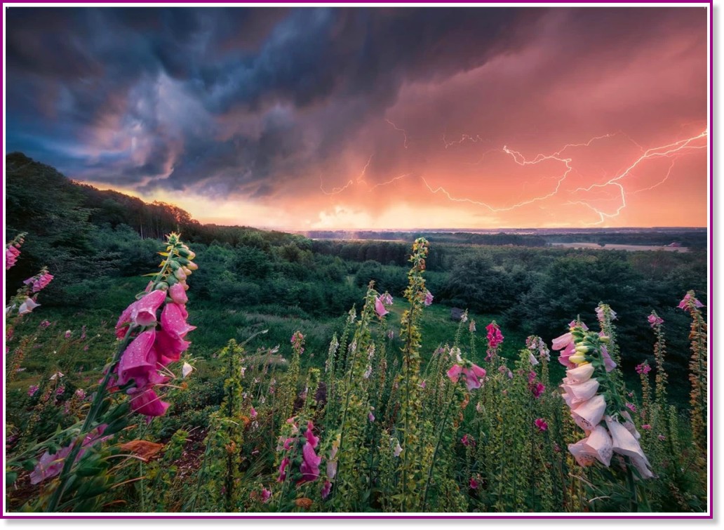 ���� ���� - ����� �� 1000 ����� �� ���������� Nature - �����