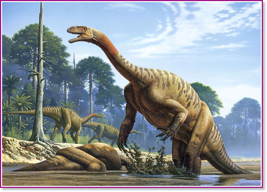 ����������� - �����