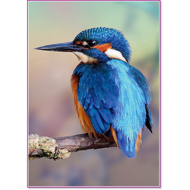 ��������� ������� - �� ���������� "Nature" - �����