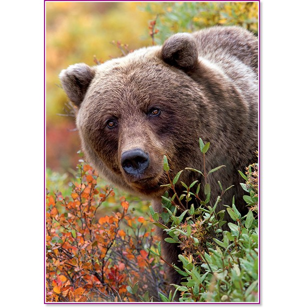 ����� ������ - �� ���������� "Nature" - �����