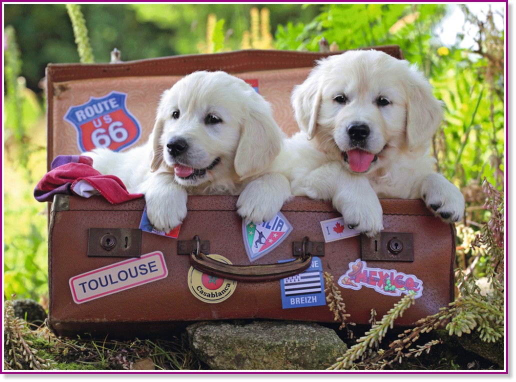 ������� � ����� - ����� �� 100 ����� - �����