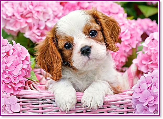 Кученце сред розови цветя - Пъзел от 180 части от колекцията "Premium" - пъзел