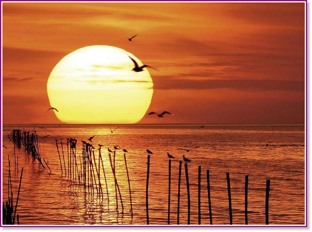 ��������� ����� - �����