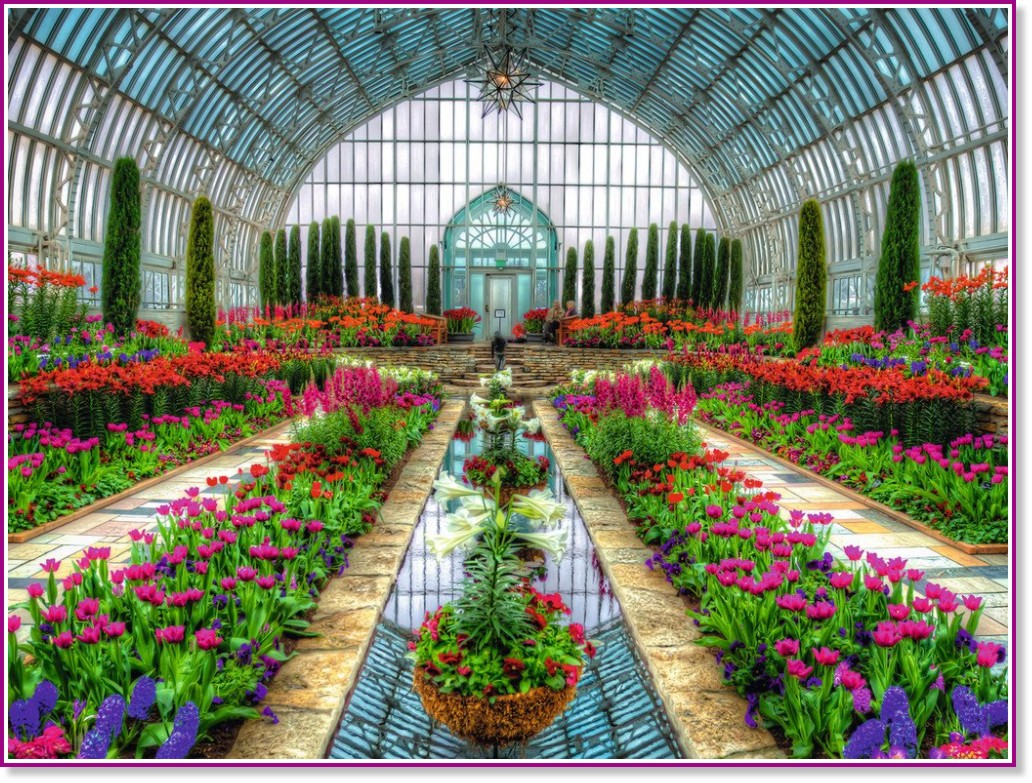 ������ ������� - �����