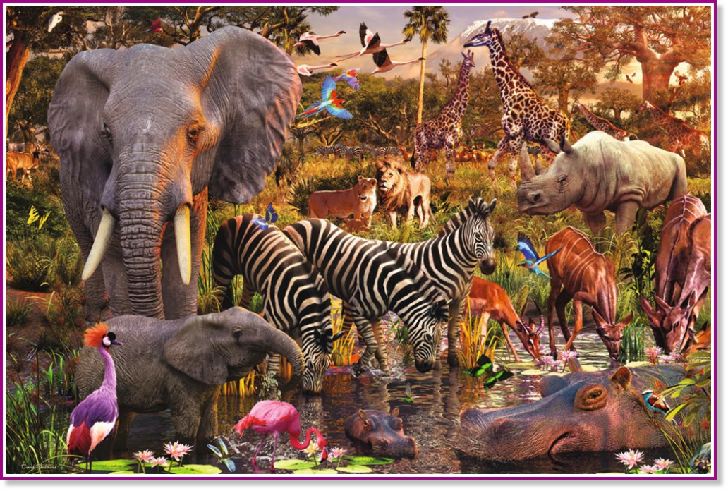 ��������� � ������ - ����� �� 3000 ����� - �����