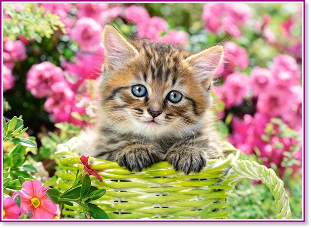 Коте сред градински цветя - Пъзел от 100 части от колекцията "Premium" - пъзел