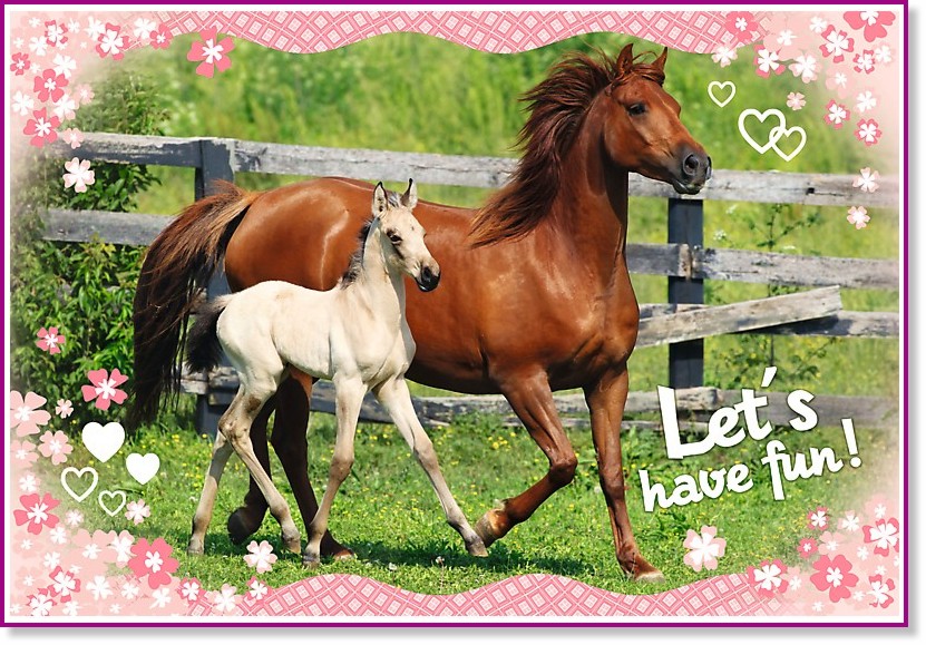 ���������� �������� - �����