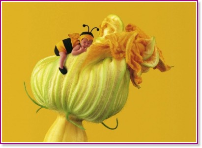 ���� - �������� - �� ����� (Anne Geddes) - �����