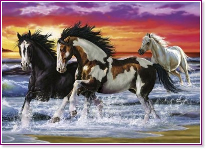 ���� - �����