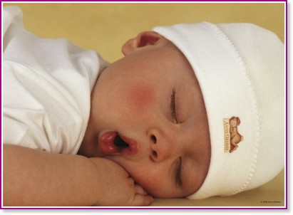  -   (Anne Geddes) - 