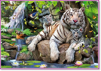 Бенгалски тигри - Пъзел от 1000 части - пъзел
