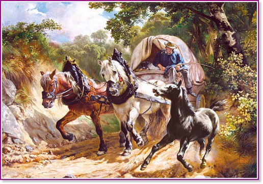 ������ � ���� - ������ ����� (Rudolf Koller) - �����