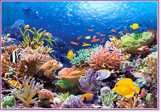 Коралов риф - Пъзел от 1000 части - пъзел