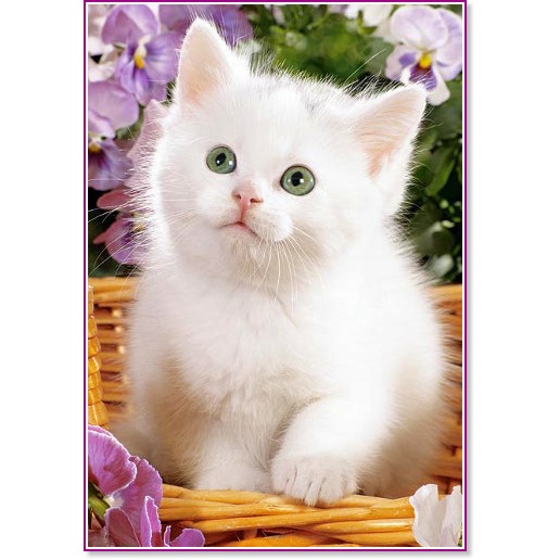 ���� ���� � ������� - �����