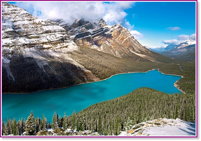 ������� ����� - ������ - �����