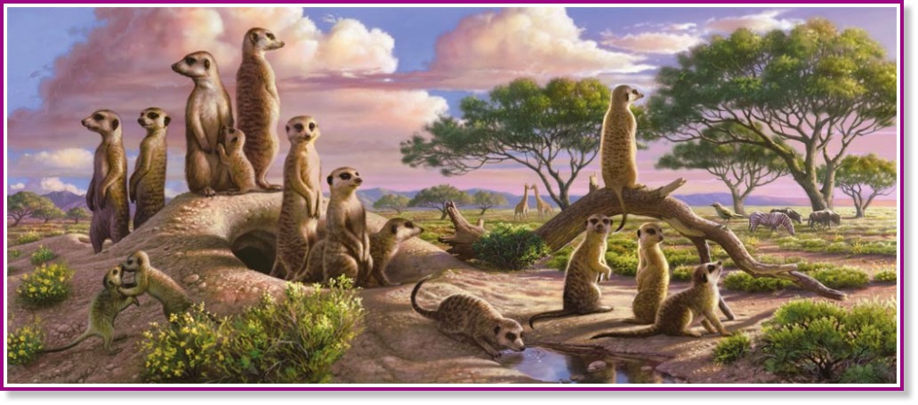 �������� - �����