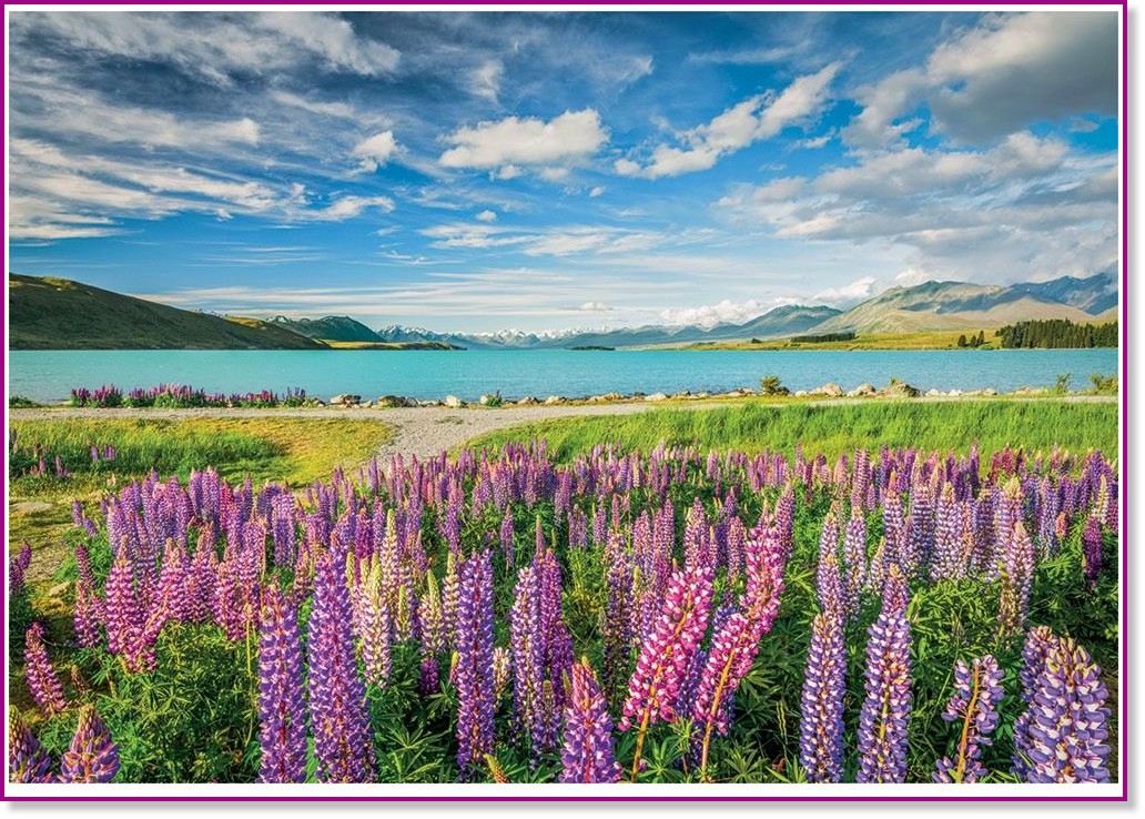 ������ ���� ������� ������ - ����� �� 1500 ����� - �����