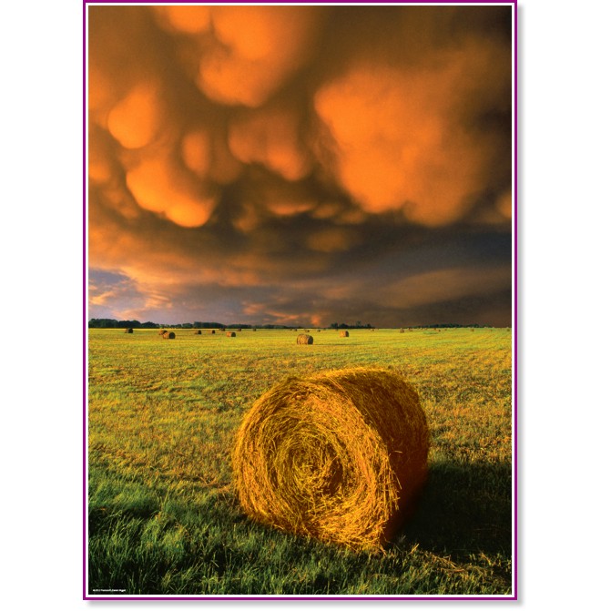 �������� �� ���� - �������� "Power of Nature" - �����