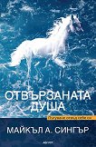 ����������� ����. �������� ����� ���� �� - 