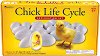     Learning Resources - 