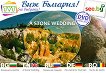 DVD  :   DVD Postcard: A Stone Wedding - 