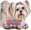 ������ � ������: �������� ������� - 