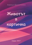 ������� � �������� - 