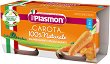 ���� �� ������� Plasmon - 