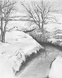    Royal & Langnickel -  