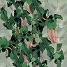 ����� �� ���������� �� �������� � ��������� Tenax Flora