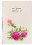 �������� ��� ������� � ������ ������ Nature - 