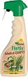 ��������� ����� ������ �������� ���� �� ������ Flortis