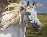 �������� �� ������ Newart - ���
