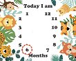 ������� ������ Months - 