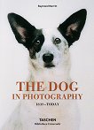 The Dog in Photography 1839 - Today - 