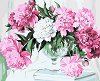 �������� �� ������ NEWART - ������