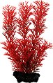 ���������� �������� �� �������� Tetra Red Foxtail - 