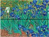 ����� �� ��������� Paperblanks Van Gogh's Irises