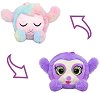     Eolo Toys -  - 