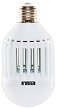 2 � 1 LED ������ � ����� ������ �������� Noveen IKN804 E27 8 W