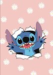 �������� � ������ ������ Stitch - 