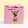      - Studio Pets - 