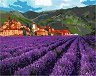    Ideyka - 