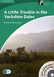 Cambridge Experience Readers: A Little Trouble in the Yorkshire Dales - ���� Lower/Intermediate (B1) BrE - 