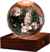 ����� ����� Gingko Owl Moon - �� ������� Amber Crystal Light - 
