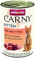    Carny Kitten - 